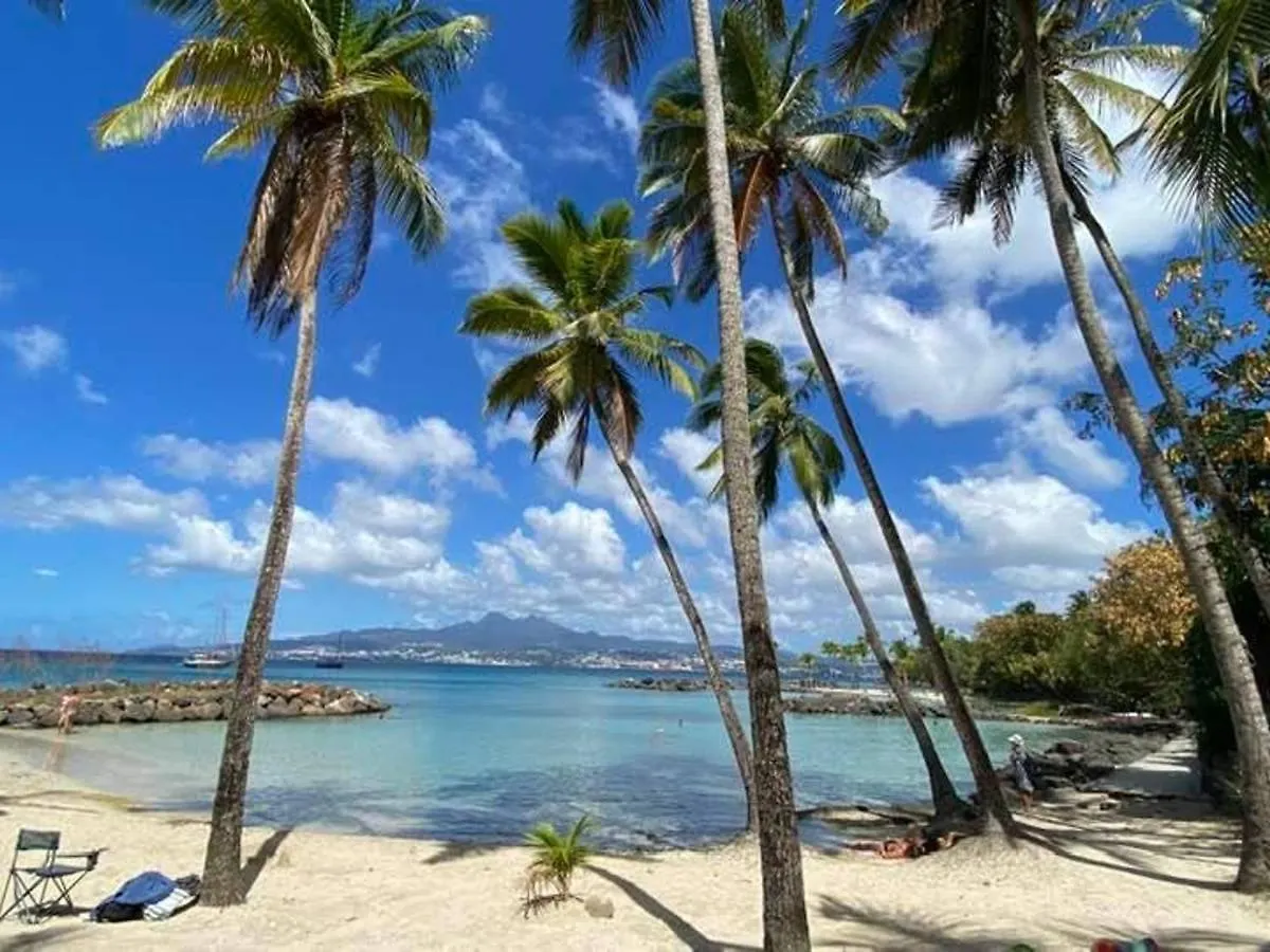 Appartement T2 Aux Trois-Ilets Avec Grande Terrasse, Proche Plages Et Commerces - Fr-1-765-1 레트루아질레