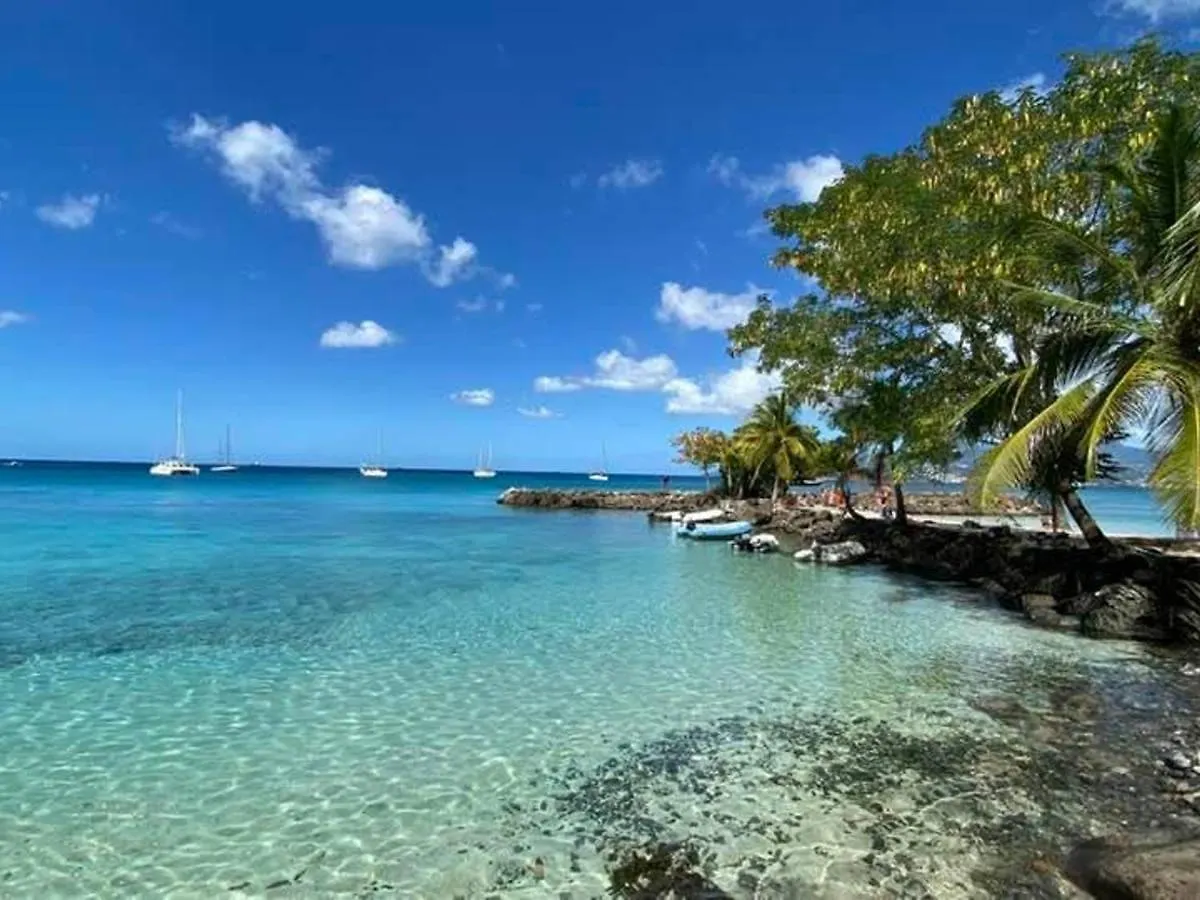 Apartment Appartement T2 Aux Trois-Ilets Avec Grande Terrasse, Proche Plages Et Commerces - Fr-1-765-1 Les Trois-Ilets Martinique